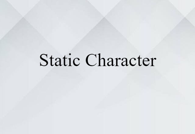 Static Character (noun) Definition, Meaning & Examples