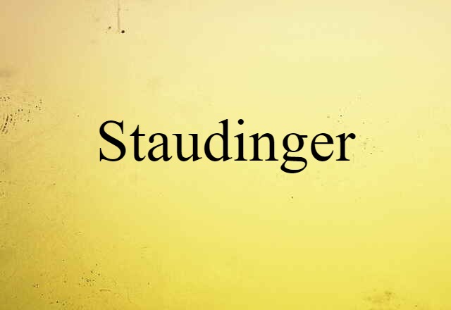 Staudinger (noun) Definition, Meaning & Examples