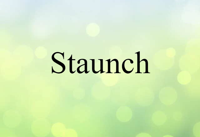 Staunch (noun) Definition, Meaning & Examples