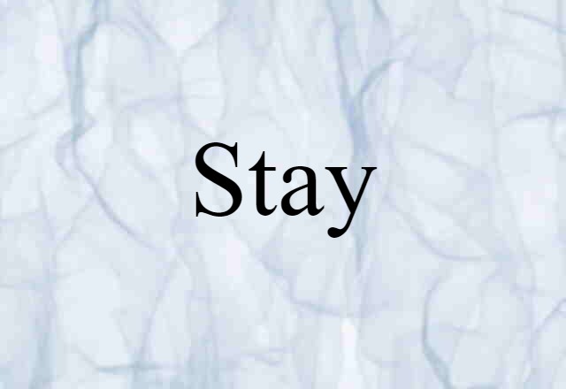 stay