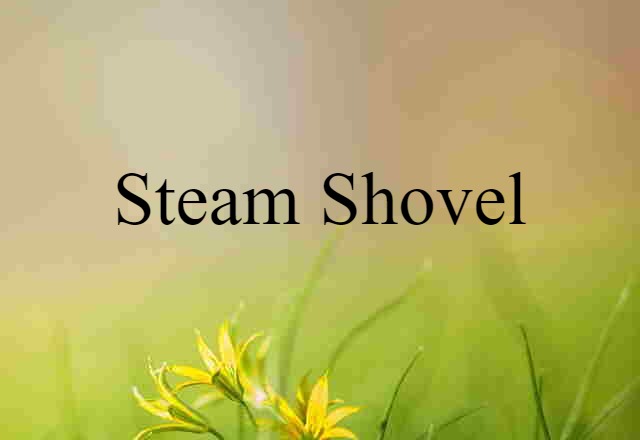 steam shovel