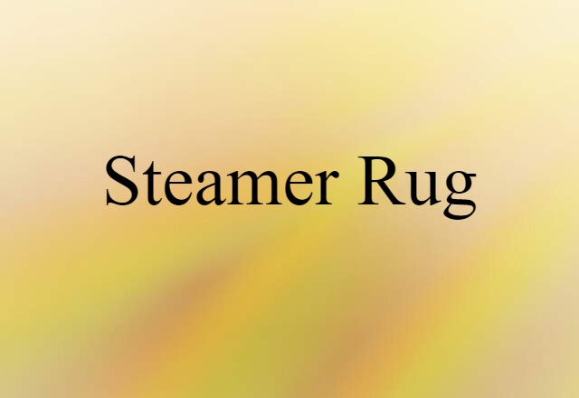 steamer rug