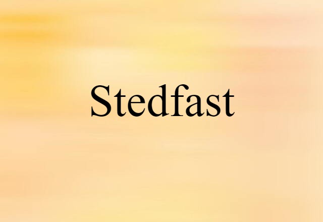 stedfast