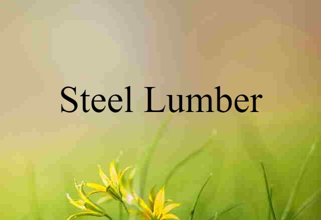 Steel Lumber (noun) Definition, Meaning & Examples