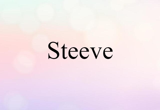 Steeve (noun) Definition, Meaning & Examples