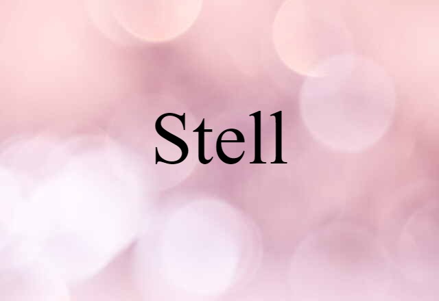 Stell (noun) Definition, Meaning & Examples