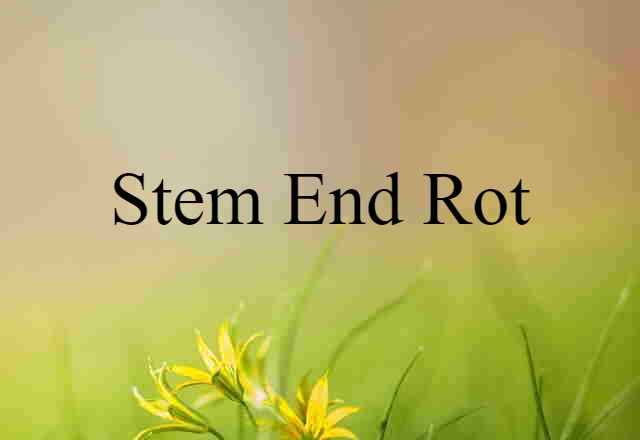 stem-end rot