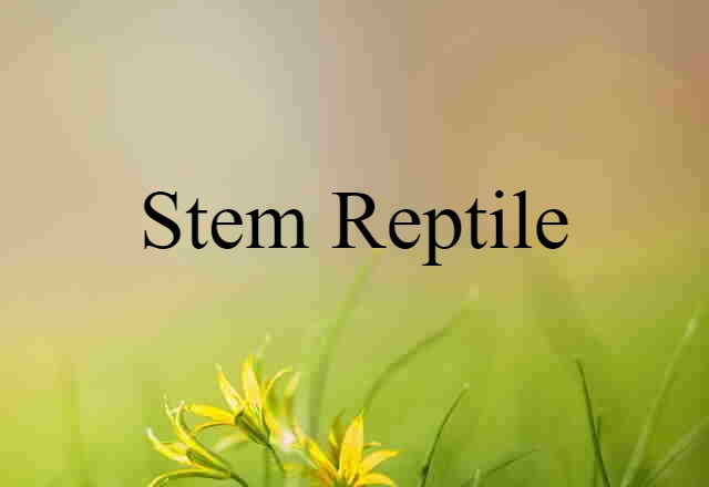 stem reptile