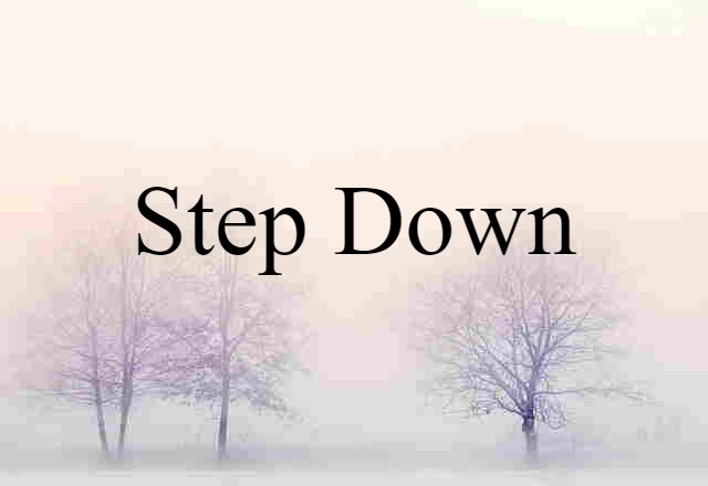 Step-down (noun) Definition, Meaning & Examples