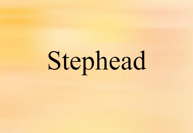 stephead