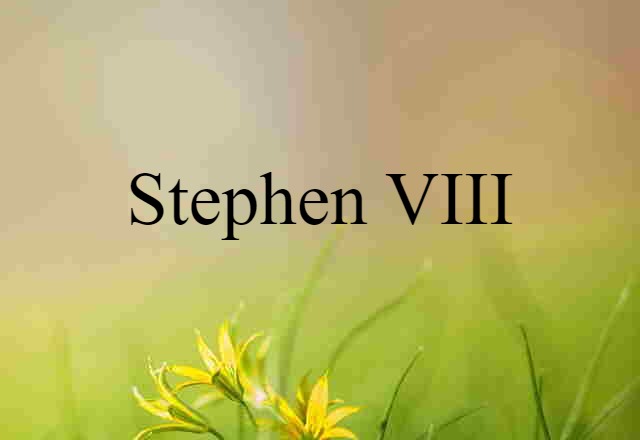 Stephen VIII