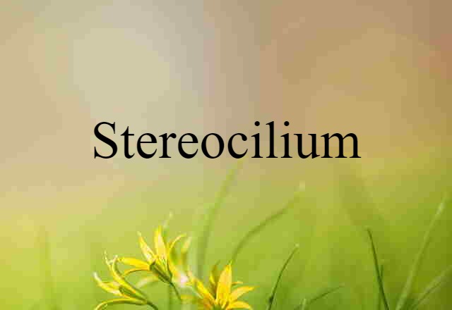 stereocilium