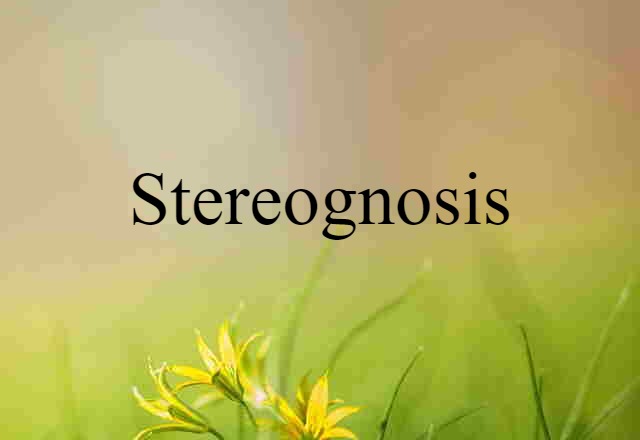 stereognosis