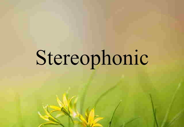 Stereophonic (noun) Definition, Meaning & Examples