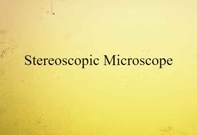 Stereoscopic Microscope (noun) Definition, Meaning & Examples