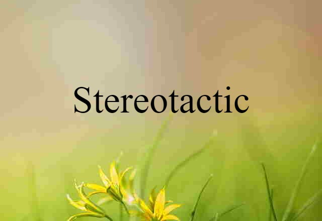 Stereotactic (noun) Definition, Meaning & Examples