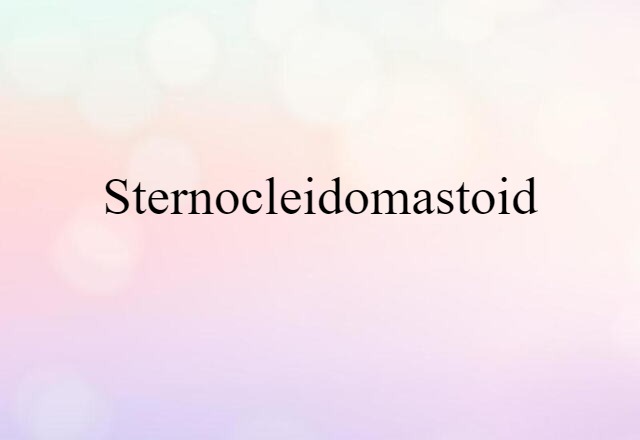 Sternocleidomastoid (noun) Definition, Meaning & Examples