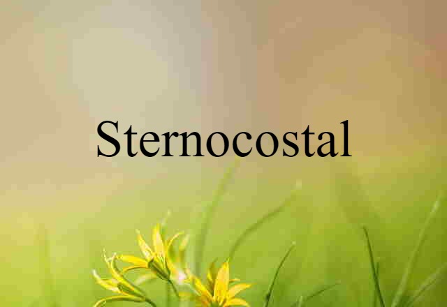 Sternocostal (noun) Definition, Meaning & Examples