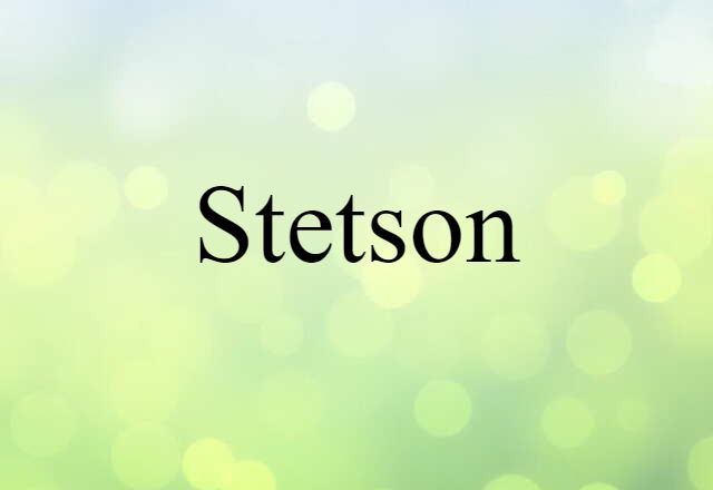 Stetson (noun) Definition, Meaning & Examples