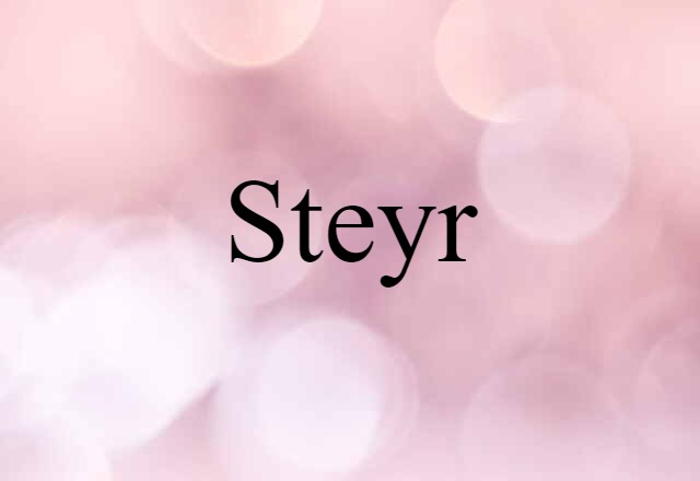 Steyr (noun) Definition, Meaning & Examples