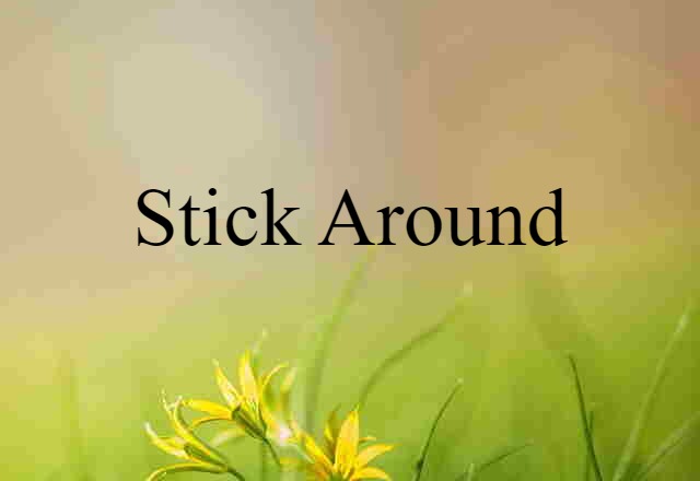 Stick Around (noun) Definition, Meaning & Examples