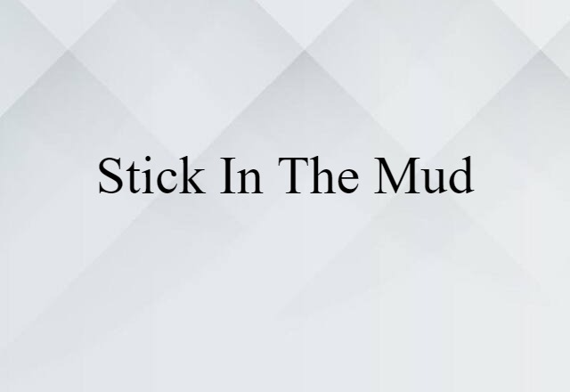 stick-in-the-mud