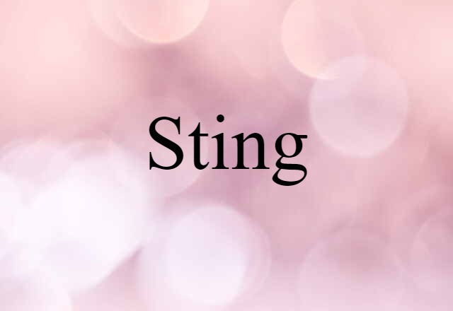 Sting (noun) Definition, Meaning & Examples