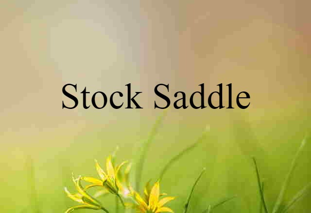 stock saddle