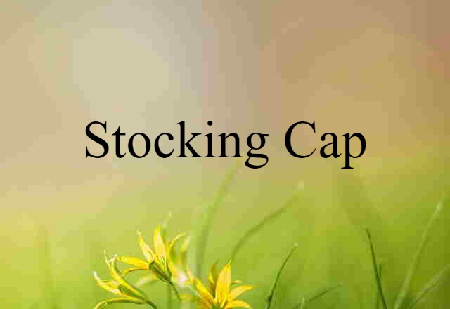 Stocking Cap (noun) Definition, Meaning & Examples