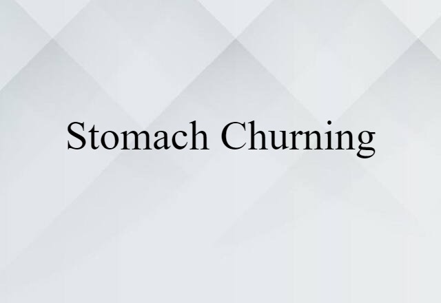 Stomach-churning (noun) Definition, Meaning & Examples