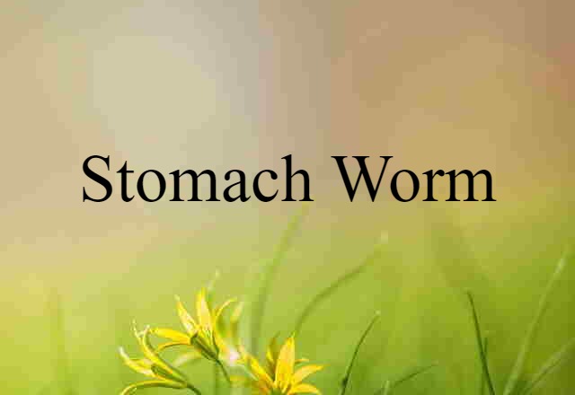 Stomach Worm (noun) Definition, Meaning & Examples