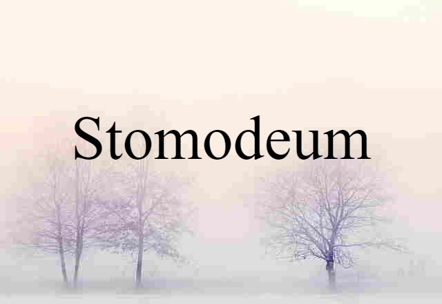 stomodeum