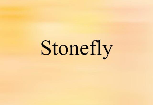 Stonefly (noun) Definition, Meaning & Examples