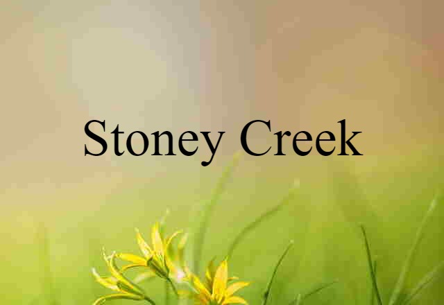 Stoney Creek