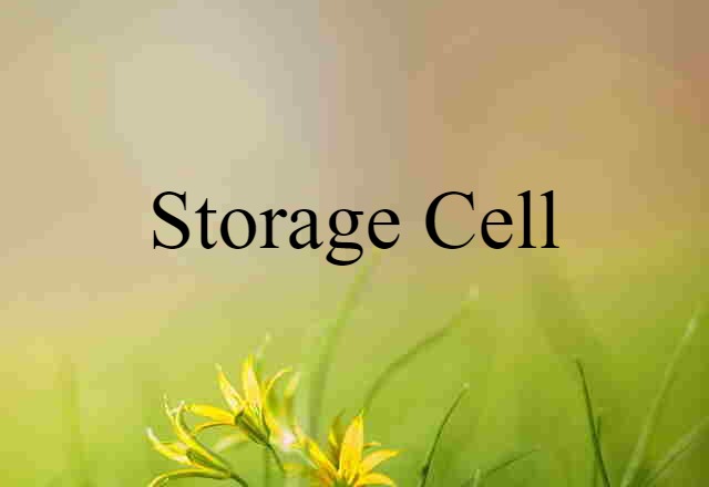 storage cell