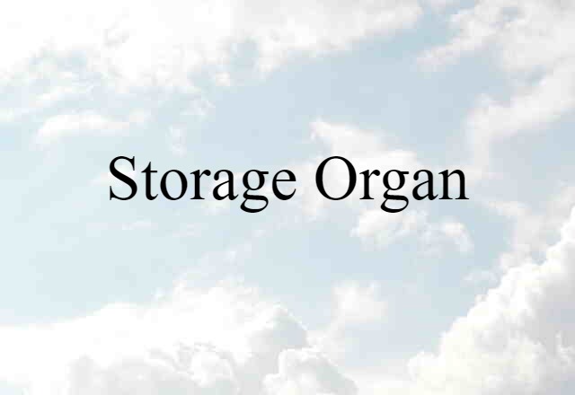 storage organ