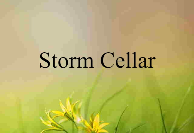 Storm Cellar (noun) Definition, Meaning & Examples