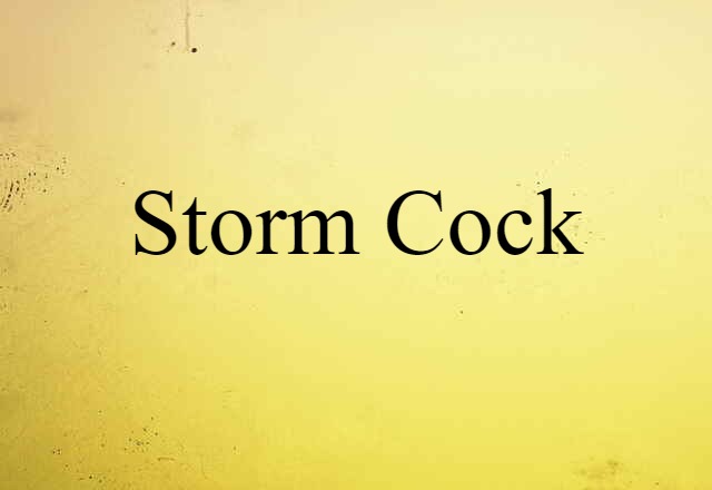 Storm-cock (noun) Definition, Meaning & Examples