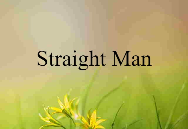 Straight Man (noun) Definition, Meaning & Examples