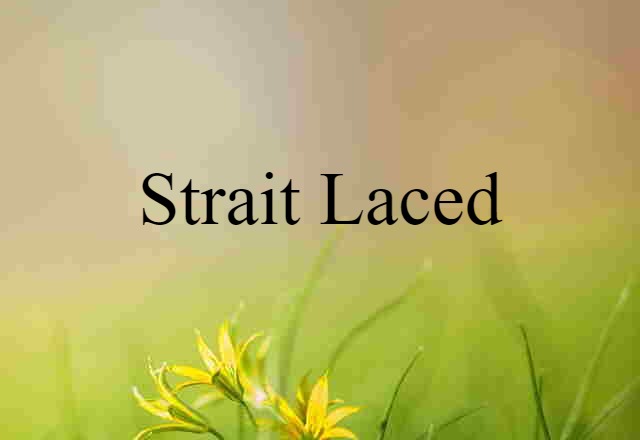 Strait Laced (noun) Definition, Meaning & Examples