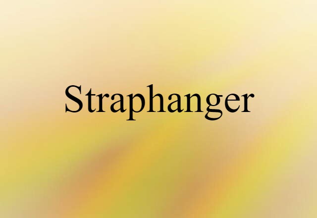 Straphanger (noun) Definition, Meaning & Examples