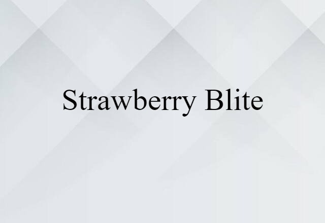 strawberry blite