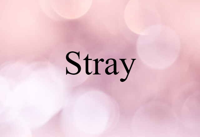 stray