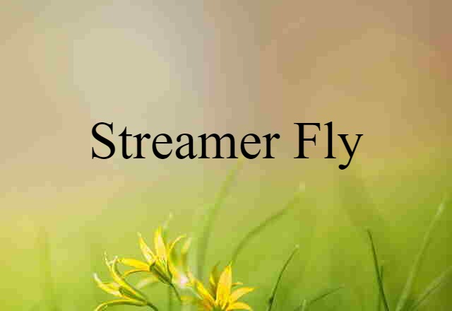 Streamer Fly (noun) Definition, Meaning & Examples