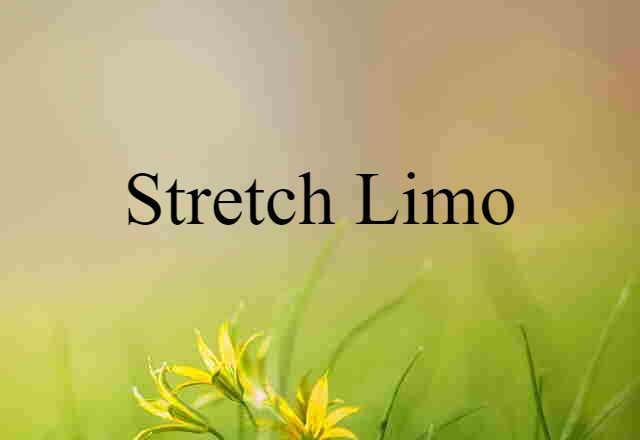 Stretch Limo (noun) Definition, Meaning & Examples