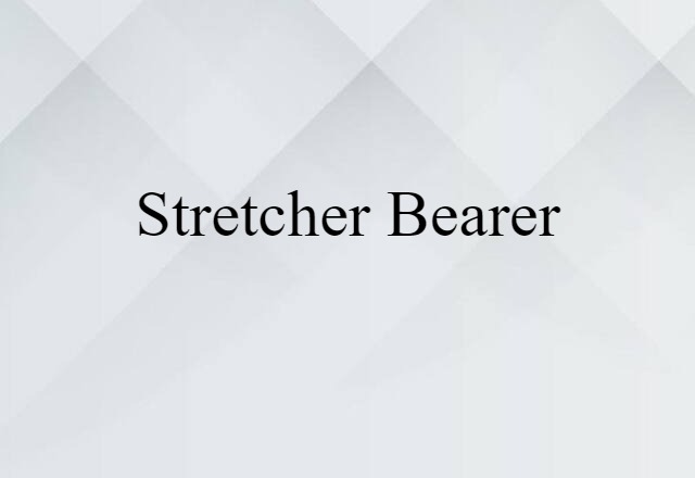 Stretcher-bearer (noun) Definition, Meaning & Examples