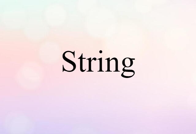 String (noun) Definition, Meaning & Examples