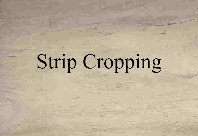 strip cropping