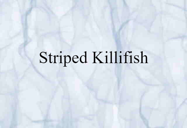 striped killifish