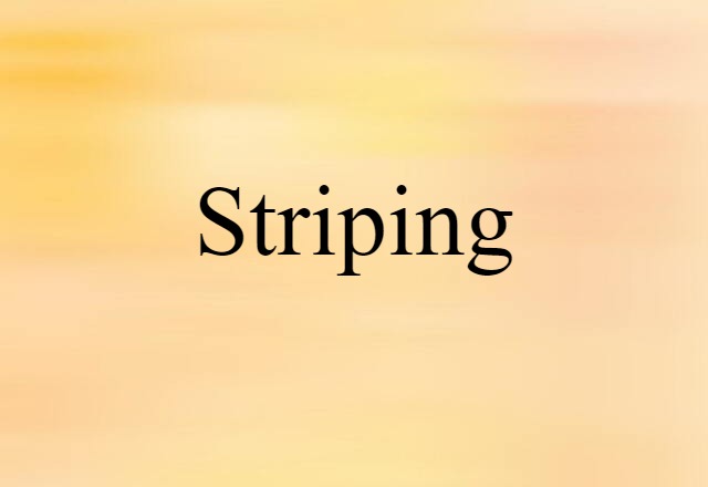 Striping (noun) Definition, Meaning & Examples